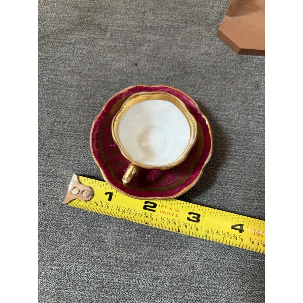 Antique Royal Vienna Porcelain Demitasse Cup Saucer Hand Painted Bindenschild